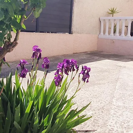 Ideale Et Charmante Maisonnette, & Nature, Parking Et Terrasse דירה