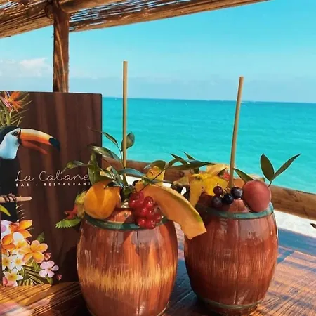 Maisonnette Tres Appreciee Entre Mer Et Nature Climatisee Avec Cuisine Terrasse Parking Apartment *